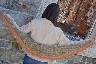 2046_phoebescarf_stretched_small2