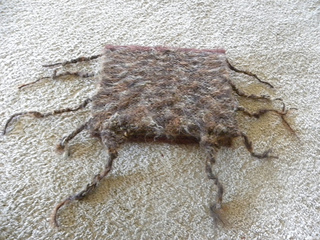 Dscn9950_small2