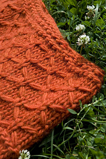 Orangeponchograss1__1__small2