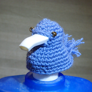 Soapbird_small2