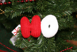 Ho_rect_small2