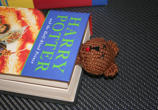 Bear_in_book_rect_small2