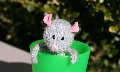 Grey_in_cup_front_on_rect_medium