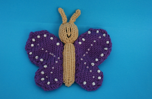 Butterfly_rect_medium