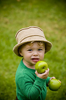 06278kristiporter_small2