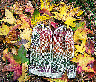 100_7177_medium_small2