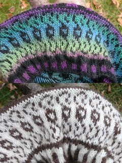 Pf-t3-two-brims_small2