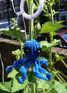 Catnip_octopus_small2