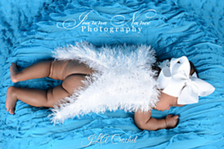Angelwingslogo_small2