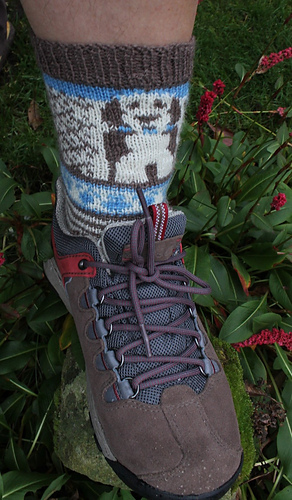 Socks_006_crop_medium
