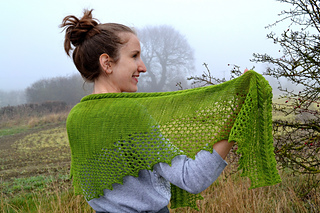 Saladshawl6small_small2
