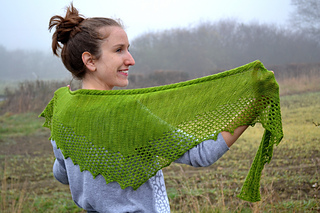 Saladshawl12small_small2