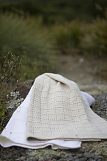 Img_0346_small2