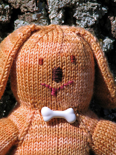 Puppy_face_web_small2