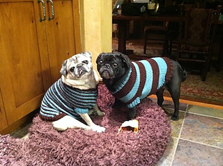 Molly_lucy_sweaters_small2