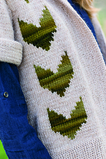 Capshawcardigan3_small2