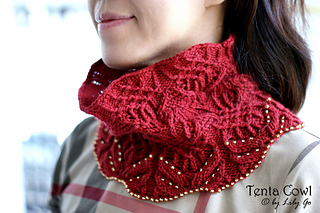 Dsc05330_tenta_cowl_small2