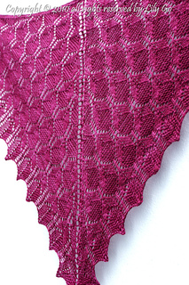 Dsc06425metropolitanshawl_small2