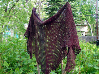 Lace_shawl_1_small2