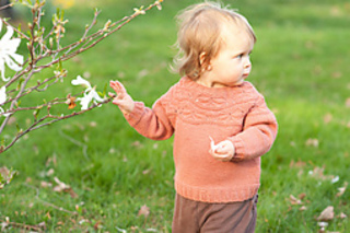 Dsc_6873_small2
