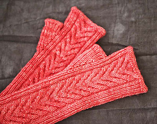 Staghorn-mitts-2_small2