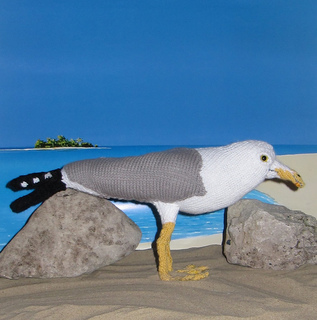 My_pet_seagull6_small2