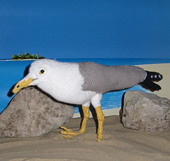 My_pet_seagull7_small