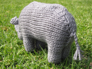 Rhino_photos_0381_small2