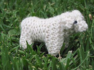 Nativity_lamb__sheep_small2