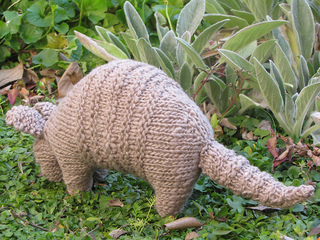Armadillo1_small2