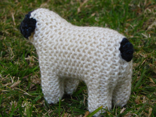 Sheep2_small2