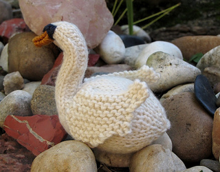 Swan2_small2