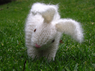 Rabbit3_small2