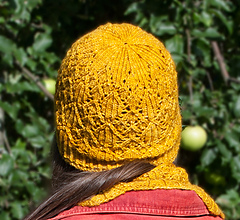 Aurei_hat_small