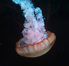 Img_20120414_133605_small