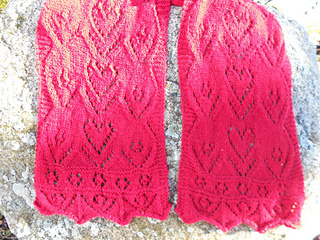Dscn1554_zps506349c8_small2