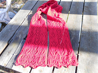 Dscn1553_zps0e2f59fd_small2