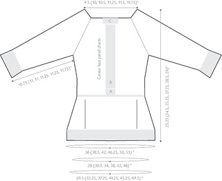 Tunicschematic_small2