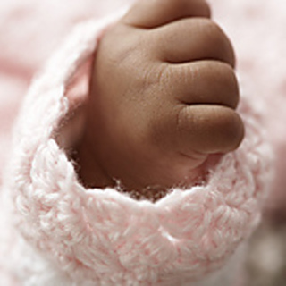 Apr2012p-daisyset-2m_small2