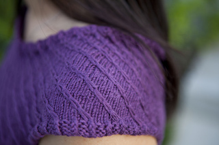 Heliotropic_sleeve_small2