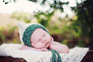 Midwinteramelia_small2