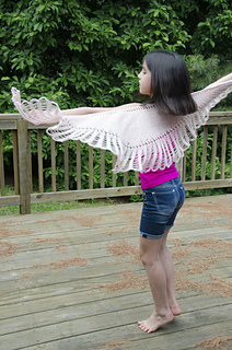 Hawkwings_dsc3818_small2