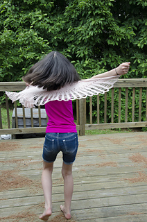 Hawkwings_dsc3824_small2