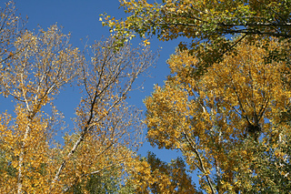Img_8577_small2