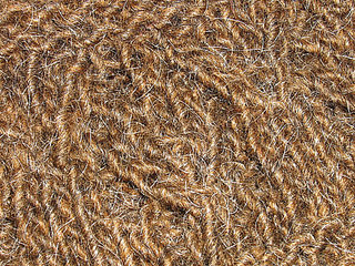 Macros_002_medium_small2