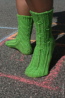 Xylem_z_500_small2