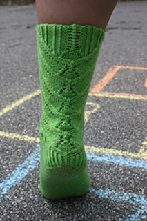 Xylem_d_500_small2