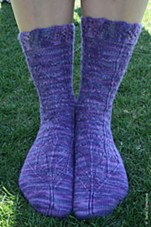 Campanulae_d_500_small2