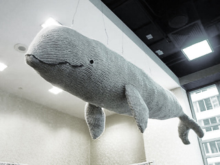 Whale-hannah_haworth_small2