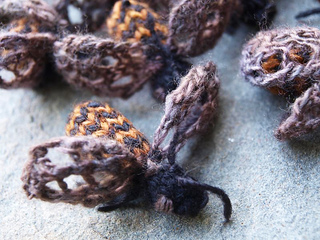 Bee8_hannahhaworth_small2
